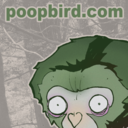 poopbird avatar