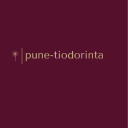 pune-tiodorinta avatar