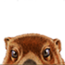 punxsutawneyspirit avatar