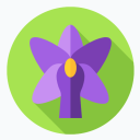 purlpe-orchid avatar