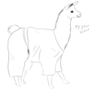 pyjama-llama avatar