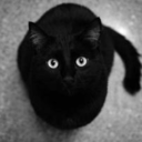 queenrinacat avatar