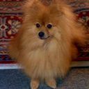 queequeg1995 avatar