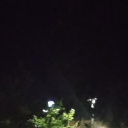 queercodednat avatar