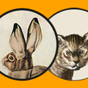 rabbitandcatbooks avatar