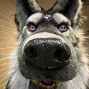 rinleycoyote avatar