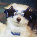 rosecrawley avatar