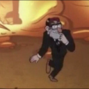 rule14canthavewebsitenameprofile avatar