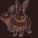 saddrabbits avatar