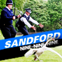 sandford999 avatar