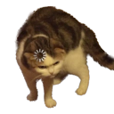 sarenography avatar