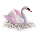 satinswan avatar