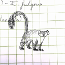 schoolsquiggles avatar