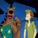 scoobyandthemeddlingkids avatar