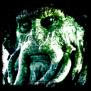 scottishoctopus avatar