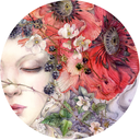 shadowscapes-stephlaw avatar