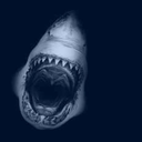 sharksharksharks avatar