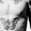 shirtlessharry-blog avatar