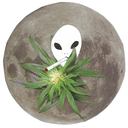 shopmoonflower avatar