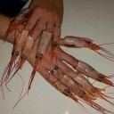 shrimpnails avatar