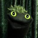 sifl-fresh avatar