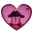 sissyforyou1-blog1 avatar