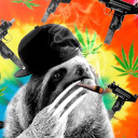 slothgangang avatar