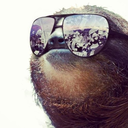 slothsandsandals avatar