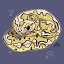 sneksnack avatar