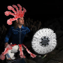 snoitcelfer avatar