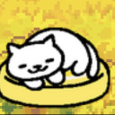 snowballcatatheart avatar