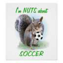 soccersquirrel avatar