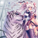 ssbptigers avatar