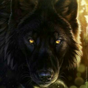 stacywolf avatar