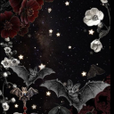 storiesbyshadow avatar