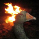 strangeducks avatar