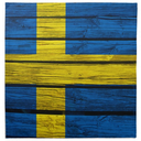 swedishteenager avatar