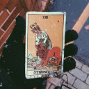 tarotjunkie avatar