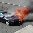 teslafactory avatar