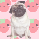 the-kawaii-pug avatar