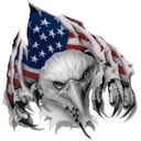 theamericanpatriotpage avatar