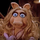 thebeardedodalisque avatar