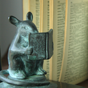 thereadingmouse avatar