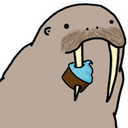 thetumblinwalrus avatar