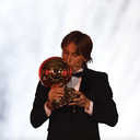 tinymodric avatar