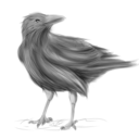 tokencrow avatar