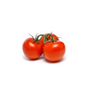 tomatoes-r-a-fruit avatar