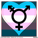 transcutieprotection-blog avatar