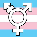 transfemdiscourse avatar