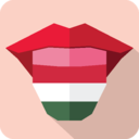 translatefromhungarian avatar